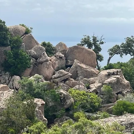 Luxueuse Villa, Hyper Centre Port De Vecchio Villa *