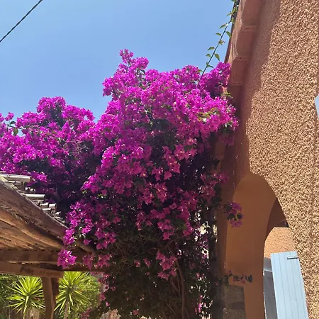 Villa Luxueuse Villa, Hyper Centre Port De Vecchio *