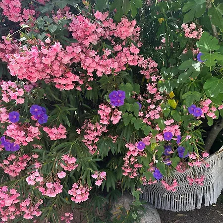 Luxueuse Villa, Hyper Centre Port De Vecchio Porto Vecchio