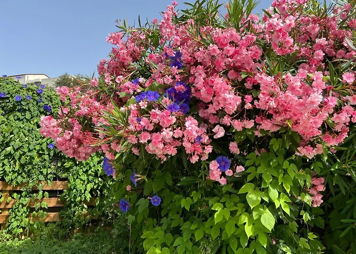 Luxueuse Villa, Hyper Centre Port De Vecchio