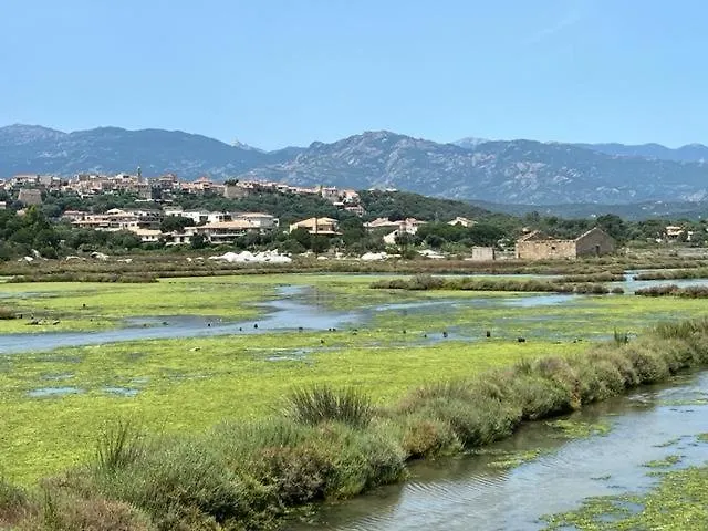 别墅 Luxueuse Villa, Hyper Centre Port De Vecchio *