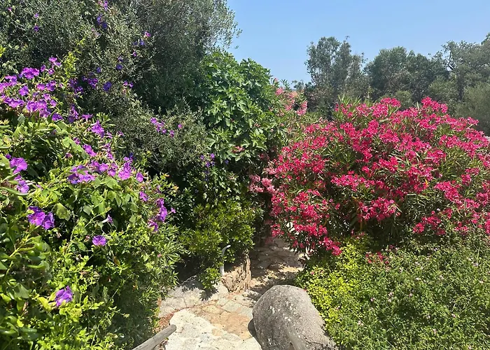 Luxueuse Villa, Hyper Centre Port De Vecchio *