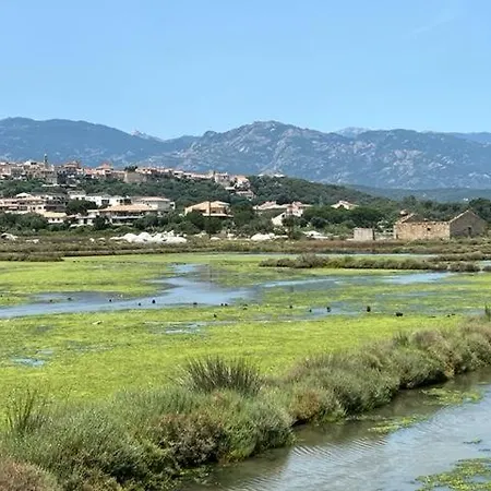 Villa Luxueuse Villa, Hyper Centre Port De Vecchio *