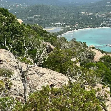 Villa Luxueuse Villa, Hyper Centre Port De Vecchio *