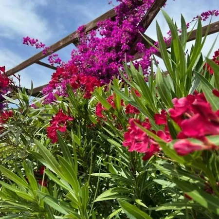 Luxueuse Villa, Hyper Centre Port De Vecchio Villa Porto-Vecchio (Corsica)