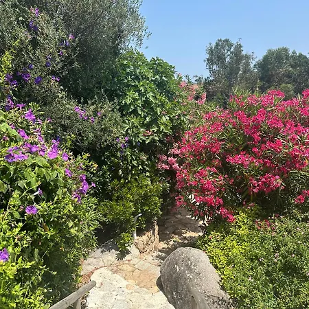 Luxueuse Villa, Hyper Centre Port De Vecchio *