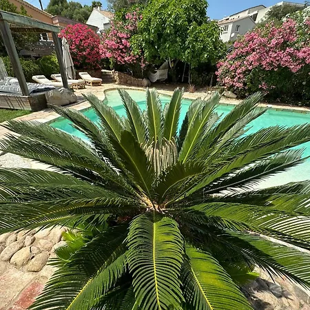 Luxueuse Villa, Hyper Centre Port De Vecchio Villa