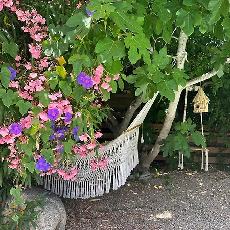 Villa Luxueuse Villa, Hyper Centre Port De Vecchio