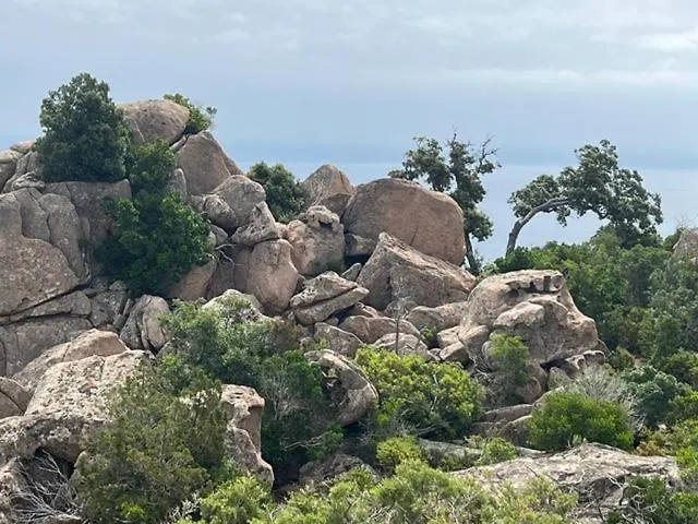 Luxueuse Villa, Hyper Centre Port De Vecchio Villa *