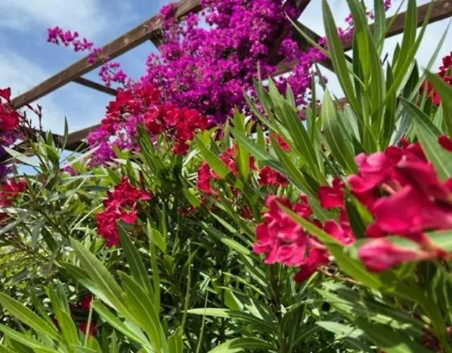 Luxueuse Villa, Hyper Centre Port De Vecchio Villa Porto-Vecchio (Corsica)