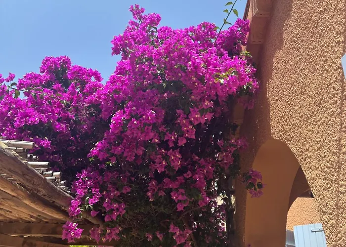 Villa Luxueuse Villa, Hyper Centre Port De Vecchio *