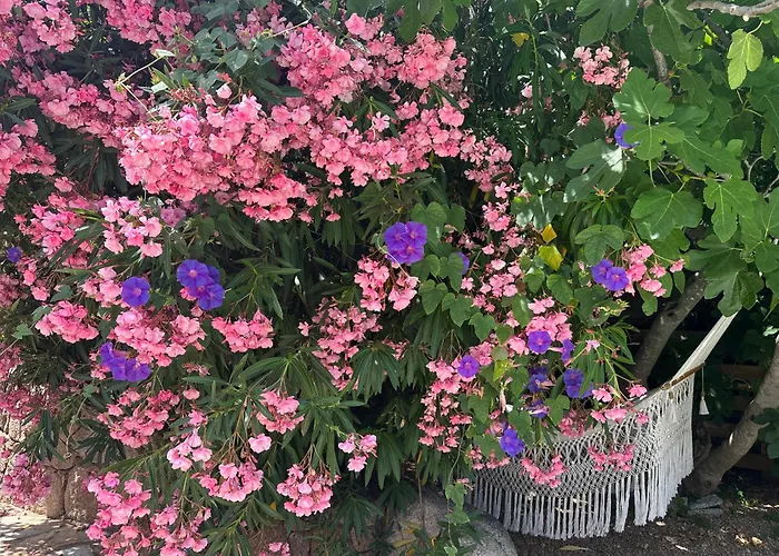 Luxueuse Villa, Hyper Centre Port De Vecchio Porto-Vecchio (Corsica)