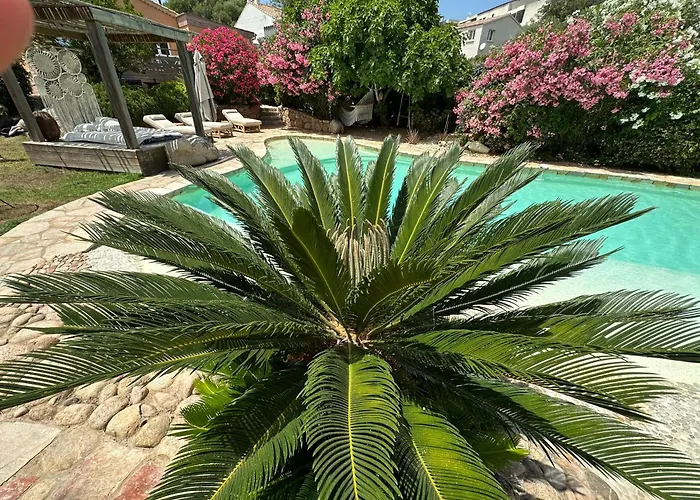 Luxueuse Villa, Hyper Centre Port De Vecchio Villa