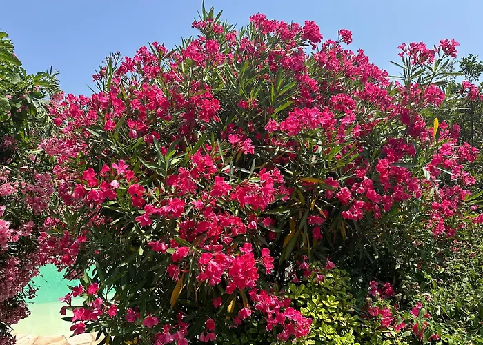 Villa Luxueuse Villa, Hyper Centre Port De Vecchio